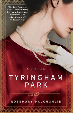 Cover of the book Tyringham Park by Patrick Higgins, Maura Kate Kilgore, Paul Hertlein