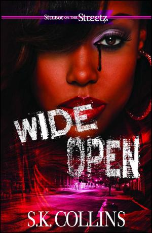 Cover of the book Wide Open by Sonsyrea Tate