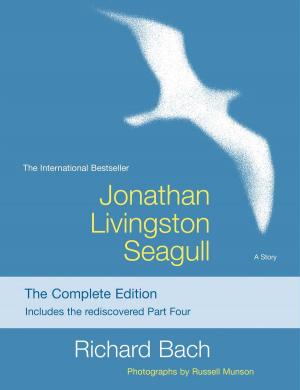 Book cover of Jonathan Livingston Seagull