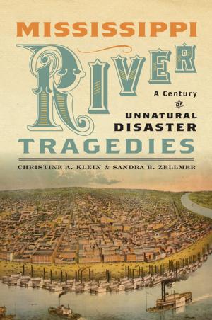 Cover of the book Mississippi River Tragedies by David Healy