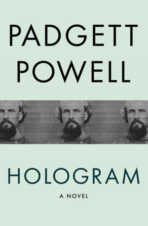 Book cover of Hologram