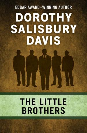 bigCover of the book The Little Brothers by 