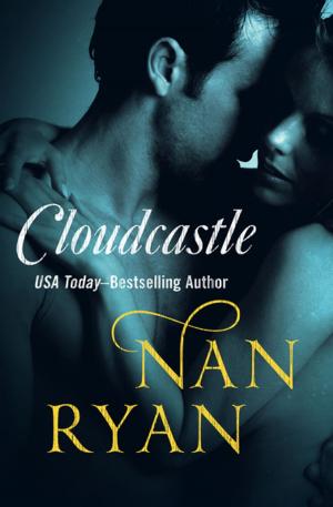 Cover of the book Cloudcastle by Jay Quinn