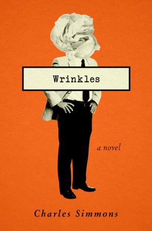 Cover of the book Wrinkles by Amanda Scott