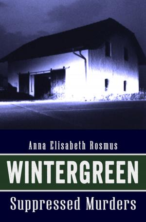 Cover of the book Wintergreen by A.J. Deus