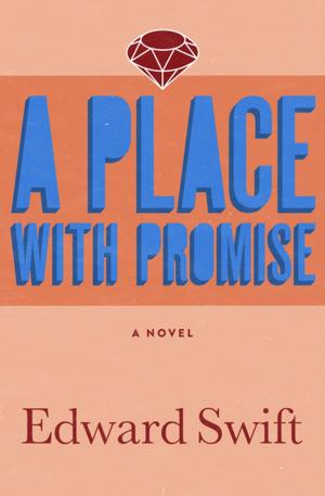 Cover of the book A Place with Promise by Erica Jong