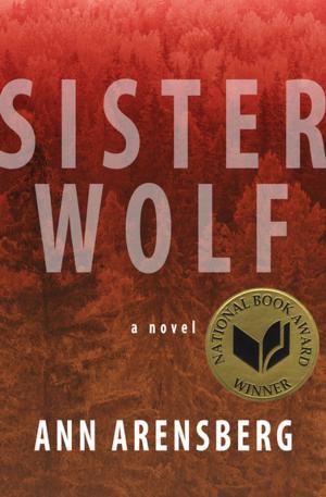 Cover of the book Sister Wolf by Aaron Elkins