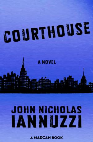 Cover of the book Courthouse by Richard Schiver