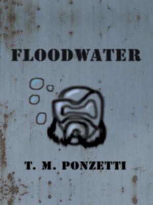 Cover of the book Floodwater by Ben A. Kimmich