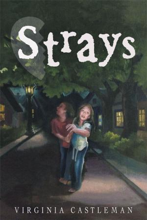 Cover of the book Strays by August Strindberg