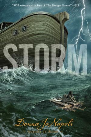 Cover of the book Storm by Harold Holzer