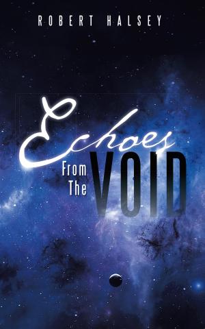 Cover of the book Echoes from the Void by Phil Cantrill