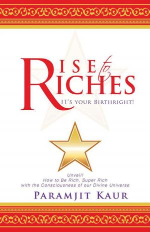 Cover of the book Rise to Riches by Eman Abid