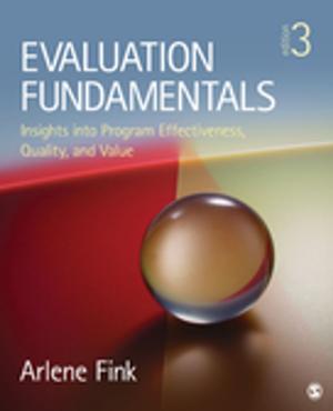 Cover of the book Evaluation Fundamentals by Professor Dawn Iacobucci