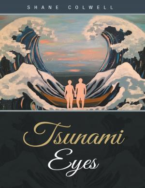 Cover of the book Tsunami Eyes by James Francis Keegan III