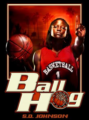 Cover of the book Ball Hog by Dr 