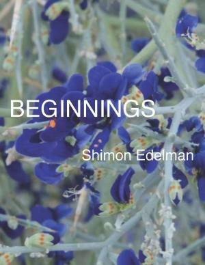 Cover of the book Beginnings by Phil Dobbie