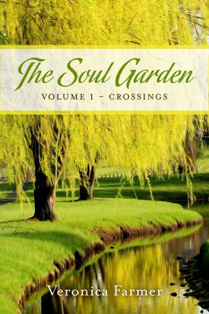 Book cover of The Soul Garden