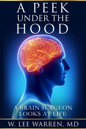 Cover of the book A Peek Under the Hood by Dana A. Blake