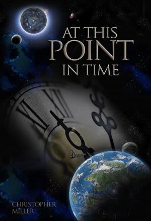 Cover of the book At This Point in Time by PM Kelly