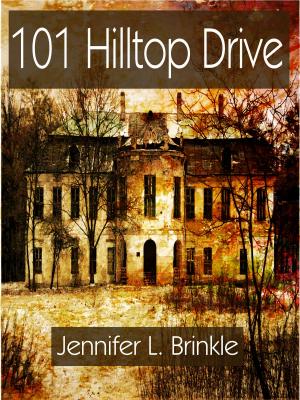 Cover of the book 101 Hilltop Drive by Stepheny Houghtlin