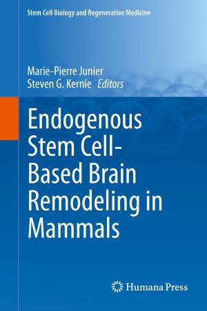 Cover of the book Endogenous Stem Cell-Based Brain Remodeling in Mammals by Michael Hardey, Anne Mulhall