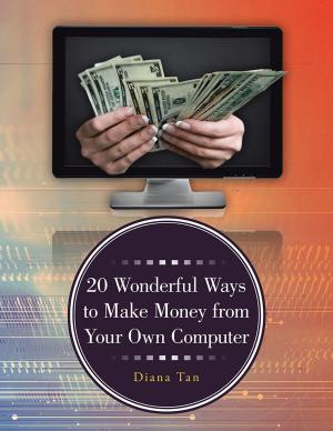 Cover of the book 20 Wonderful Ways to Make Money from Your Own Computer by Michael Godfrey