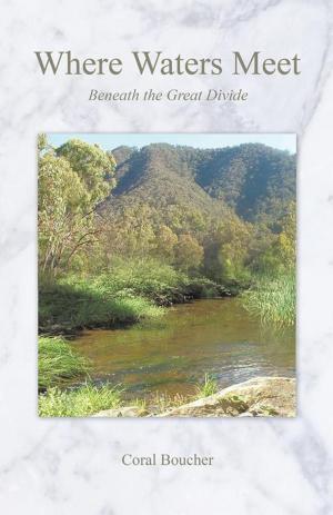 Cover of the book Where Waters Meet by CHARITY TEH