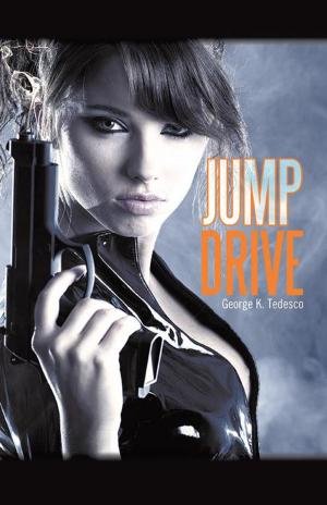 Cover of the book Jumpdrive by Vera A. Hart