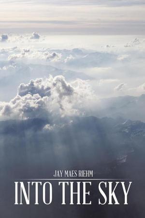 Cover of the book Into the Sky by Yasmin Faruque.