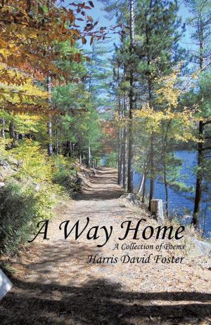 Cover of the book A Way Home by Alan Hines
