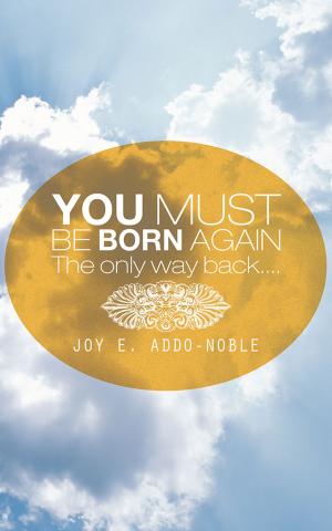 Cover of the book You Must Be Born Again by Brianna Marsing