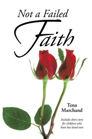 Cover of the book Not a Failed Faith by Rev. Kathy Sandlin