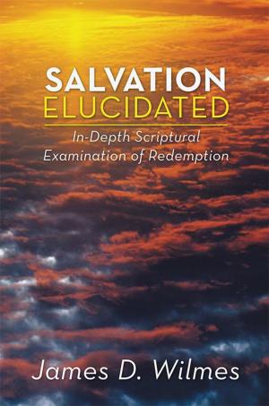Cover of the book Salvation Elucidated by Kay Harms