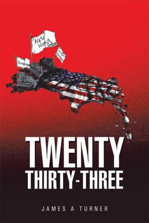 Cover of the book Twenty Thirty-Three by D M Wilder