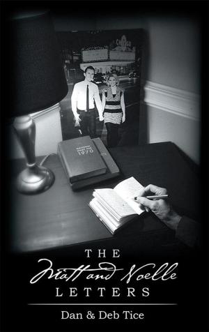 Cover of the book The Matt and Noelle Letters by David C. Peterson
