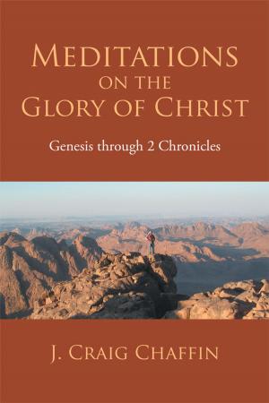 Cover of the book Meditations on the Glory of Christ by Janice Stepney Jones