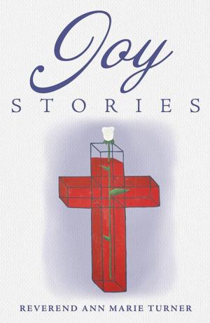 Cover of the book Joy Stories by Cynthia R. Hobson