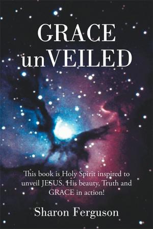 Cover of the book Grace Unveiled by Jill Lyna’ Albanys