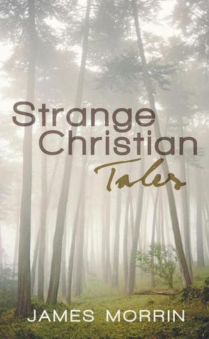 Cover of the book Strange Christian Tales by Paula Connelly