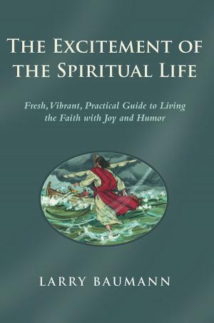 Cover of the book The Excitement of the Spiritual Life by Ben Kimmich