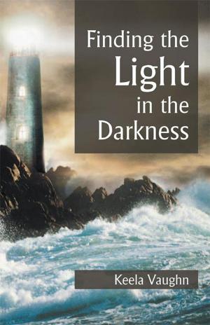 Cover of the book Finding the Light in the Darkness by Claylan Coursey