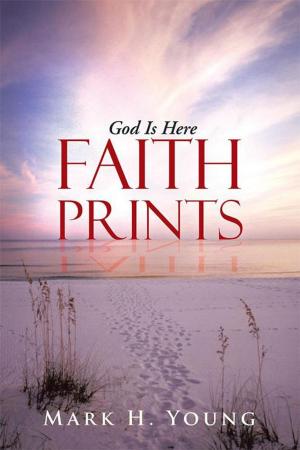 Cover of the book Faith Prints by Boots Brizendine