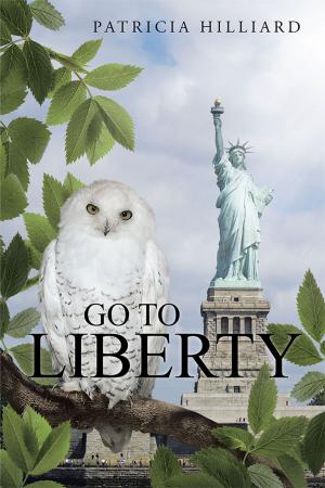 Book cover of Go to Liberty