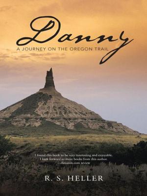 Cover of the book Danny by Robert C. Brigham