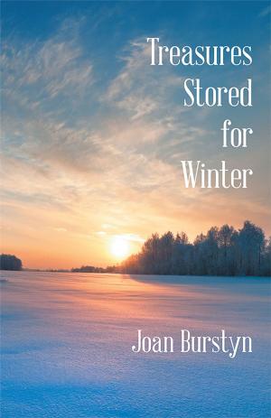Cover of the book Treasures Stored for Winter by Alba Ambert