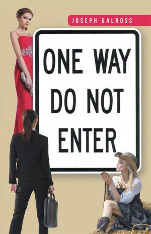 Cover of the book One Way: Do Not Enter by Mrs. Moriah Johnson