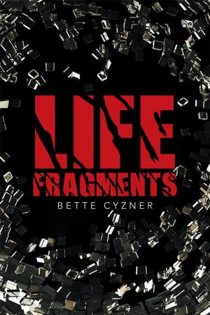 Cover of the book Life Fragments by John Wells King of Garvey Schubert Barer, John Pelkey, Erwin G. Krasnow