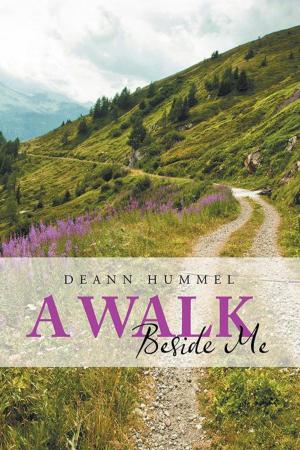 Cover of the book A Walk Beside Me by Nancy Salz