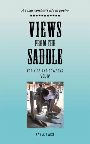 Cover of the book Views from the Saddle by Rock DiLisio
